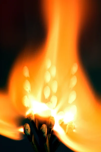 Огонь книги — стоковое фото