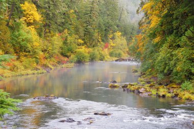 Güz umpqua