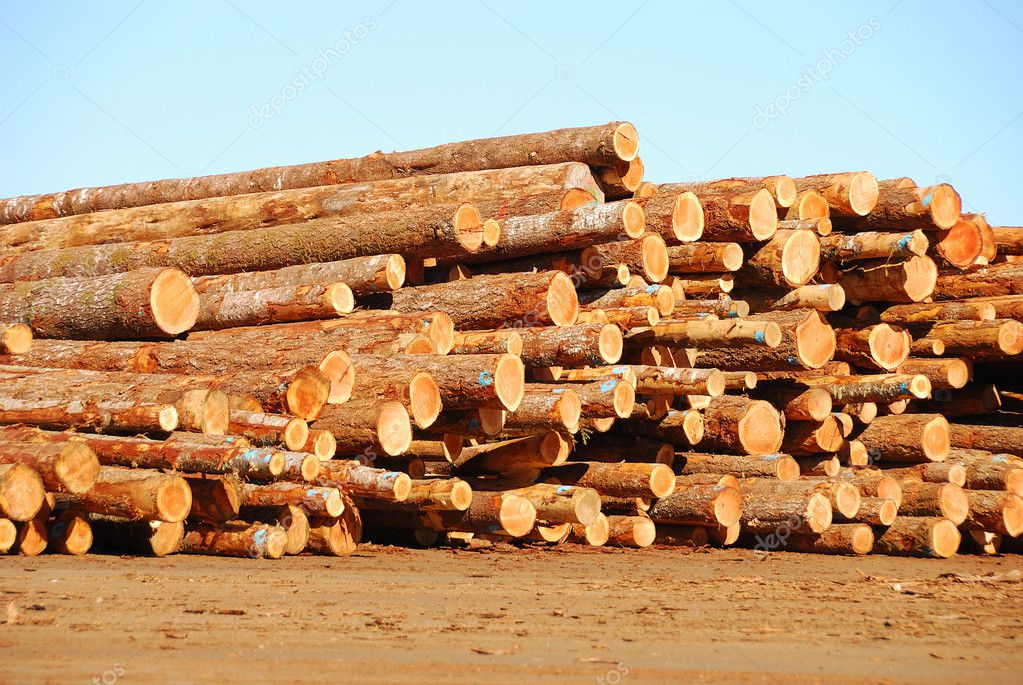 Log Deck — Stock Photo © dpfoxfoto 11421065