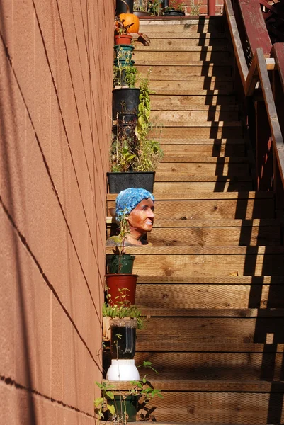 머리 계단 — 스톡 사진