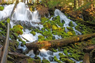 Clearwater Falls