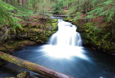 Whitehorse Falls