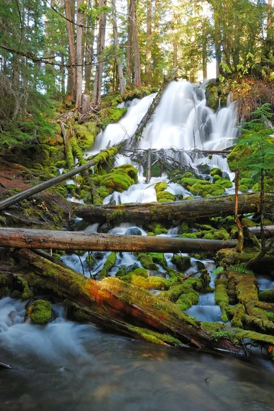 Clearwater Falls — Stock Photo, Image