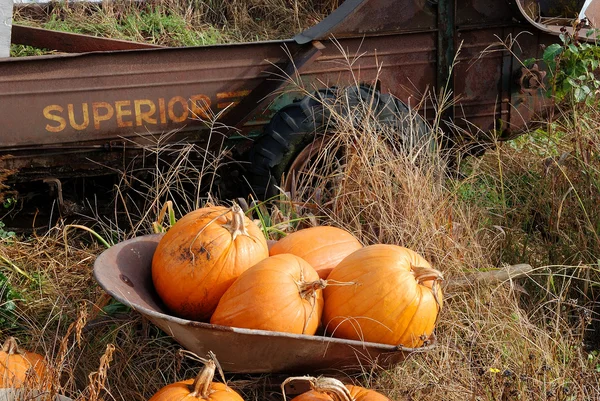 Bauernmarkt im Herbst — Stockfoto