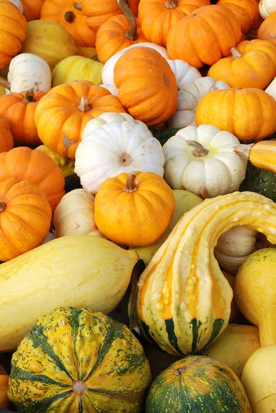 Bauernmarkt im Herbst — Stockfoto
