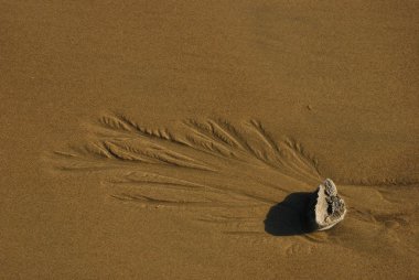 Rock eğrelti