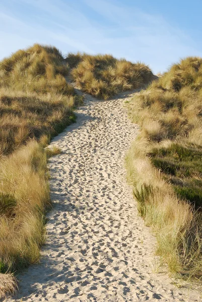 Sandy Trail — Stock Photo, Image
