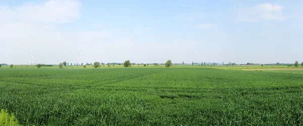 stock image Landscape with fields in Germany