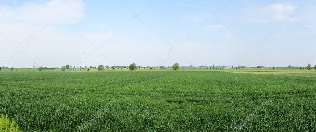 Landscape with fields in Germany