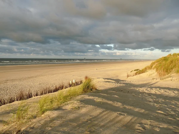 Noordzee-strand — Stockfoto