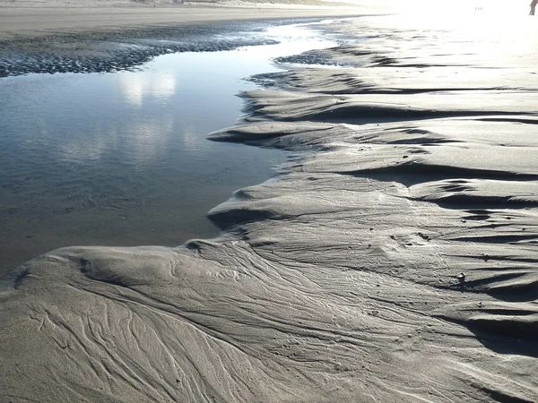 Пляж Северного моря — стоковое фото