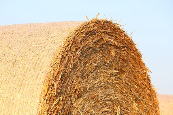 Straw Bales — Stock Photo, Image
