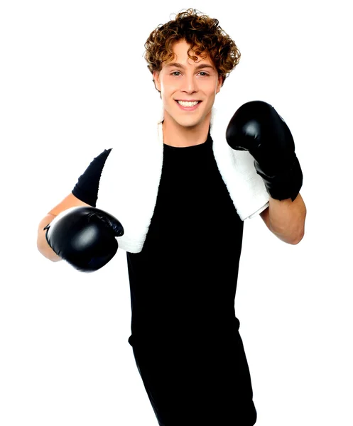 Boxer bonito posando em grande estilo — Fotografia de Stock