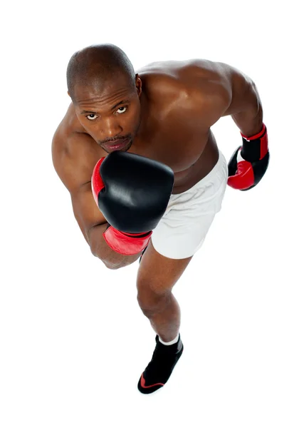Portret agresywnych mężczyzn bokser — Zdjęcie stockowe