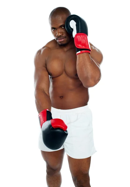 Male boxer in a defensive stance — Stock Photo, Image