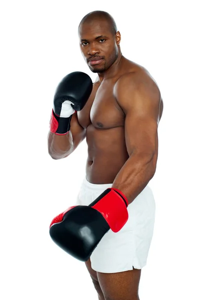 Já jsem boxer. společné mi postavit — Stock fotografie