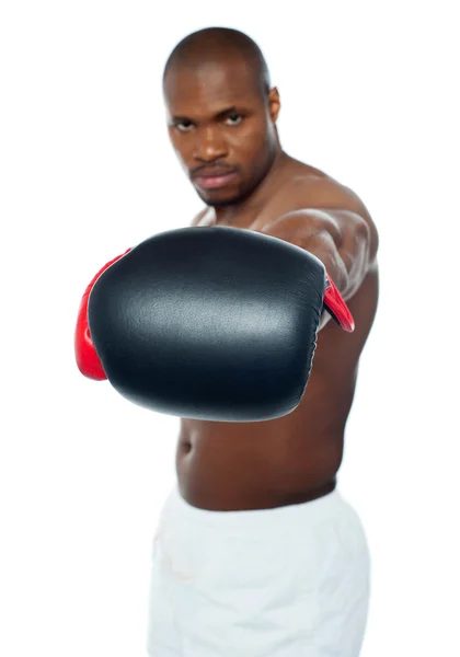 Voel de punch. Afrikaanse bokser Stockfoto