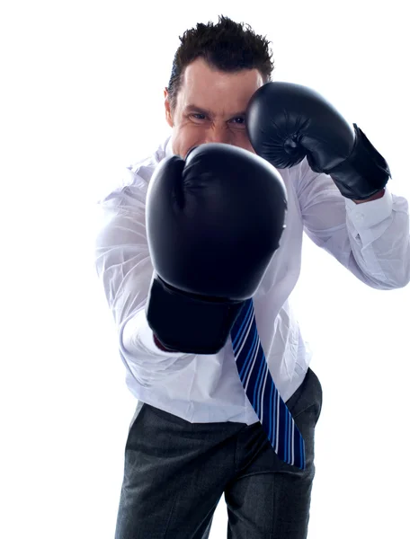 Corporate man posing boxing punch — Stock Photo, Image