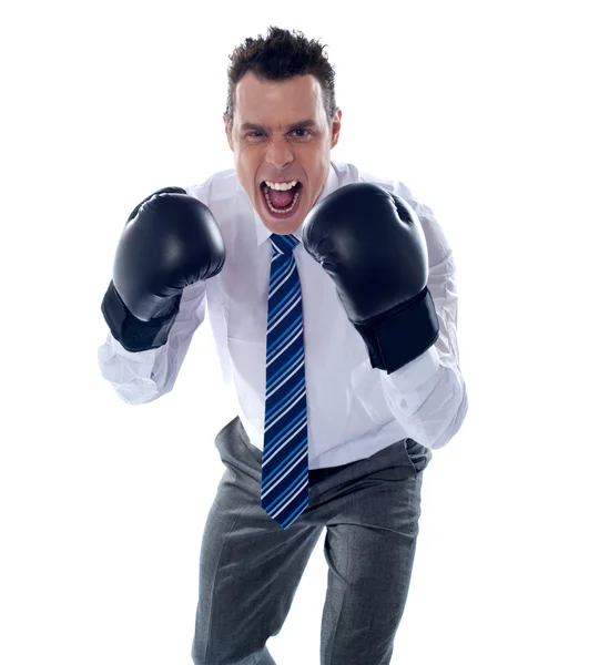 Irritado corporativo masculino vestindo luvas de boxe — Fotografia de Stock