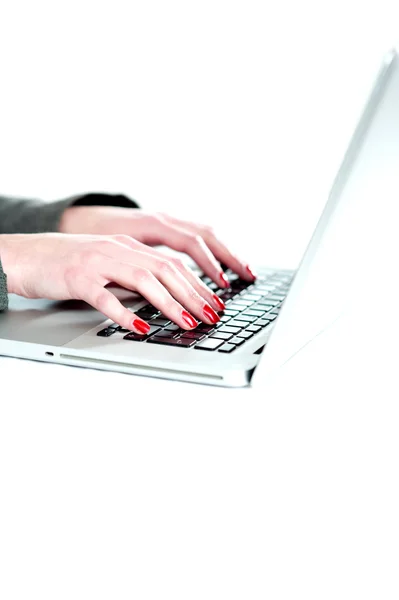 Kvinna händer fungerande laptop. beskuren bild — Stockfoto