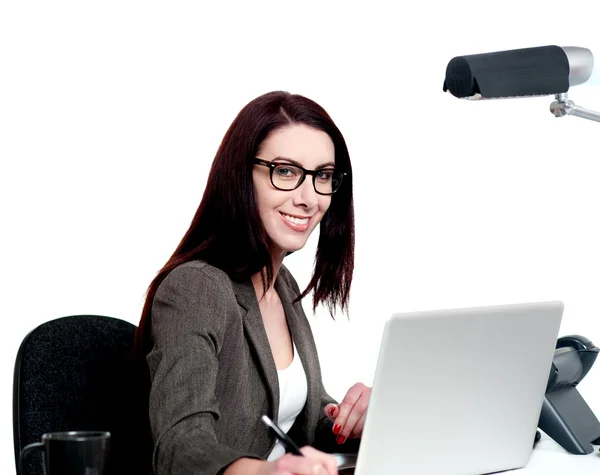 Portrait of corporate lady working in office — Stock Photo, Image