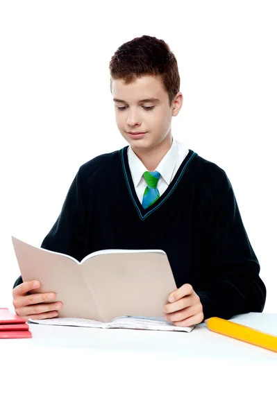 Školy chlapec čtení z poznámkového bloku — Stock fotografie
