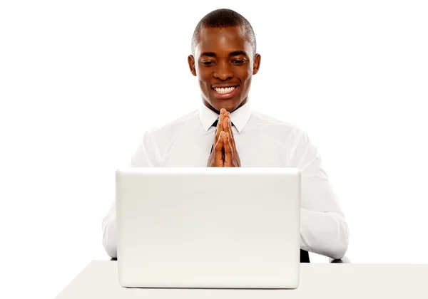 Glada manager tittar på laptop skärm — Stockfoto