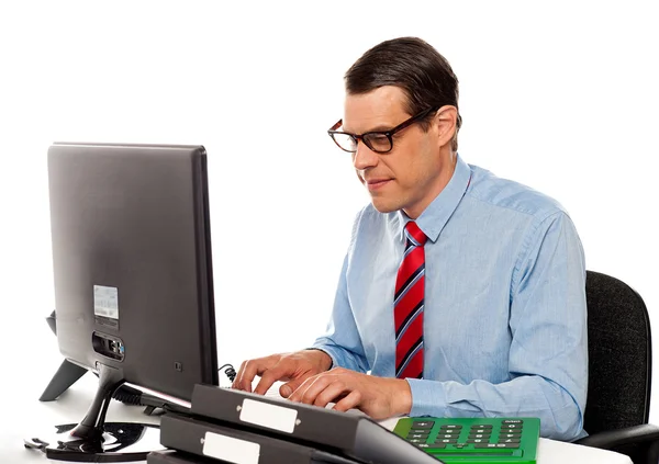 Porträt eines Buchhalters, der am Computer arbeitet — Stockfoto
