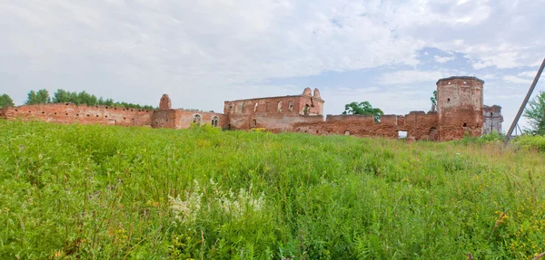 Ruiner et av de største kartagiske klostrene i Europa – stockfoto
