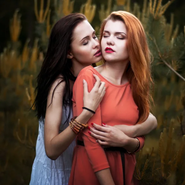 Dos hermosas chicas en el fondo del bosque de abetos — Foto de Stock