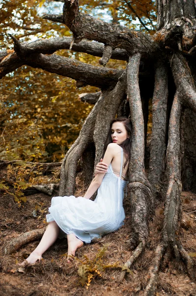 Девушка в корне дерева — стоковое фото