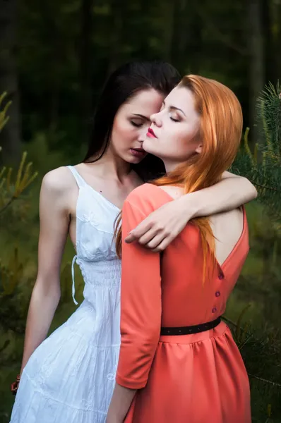 stock image Two beautiful girls in the background of spruce forest