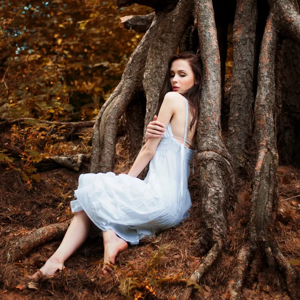 Girl in a tree 's root — стоковое фото