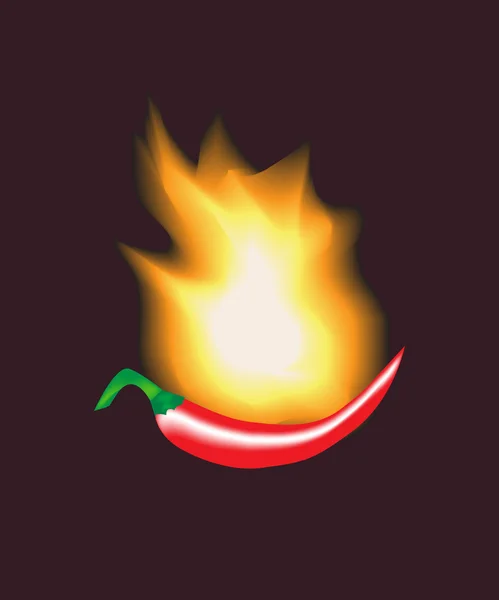 Hot pepper — Stock Vector