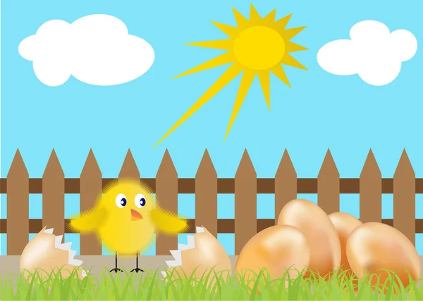 Kyckling och ägg — Stock vektor