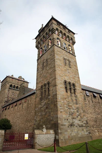 stock image Cardiff Castle