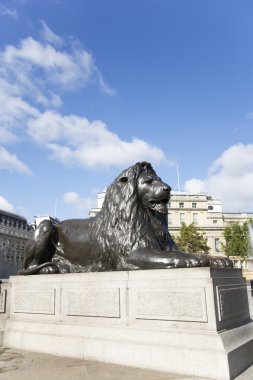 Aslan heykelinin trafalgar Meydanı