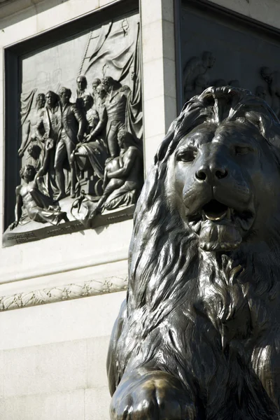 狮子雕像在特拉法加广场 — 图库照片