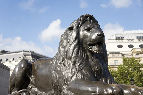 Estátua do leão em Trafalgar Square — Fotografia de Stock
