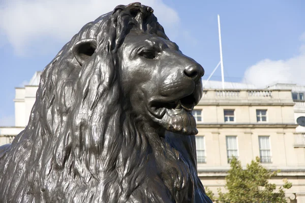 狮子雕像在特拉法加广场 — 图库照片