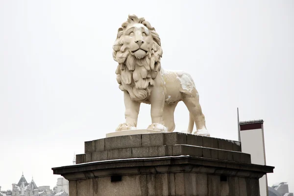 Statue de lion recouverte de neige — Photo