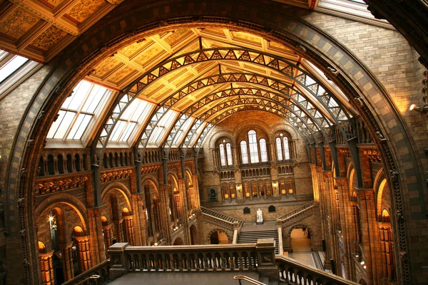 The Natural History Museum Stock Image