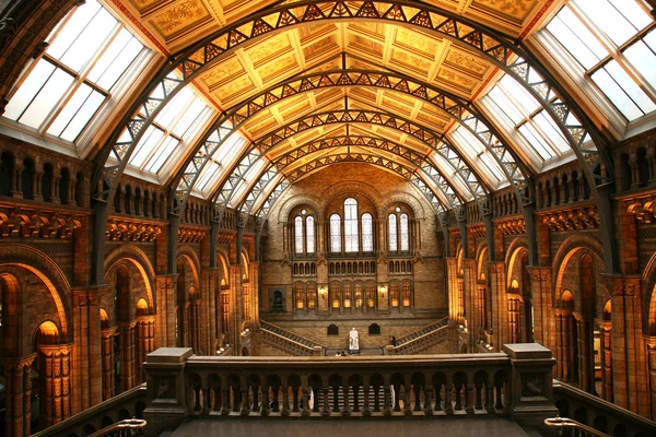 The Natural History Museum Royalty Free Stock Photos