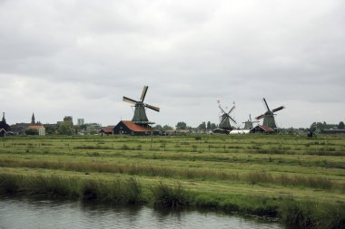 zaanse Schans'a yel