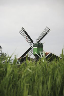 zaanse Schans'a yel