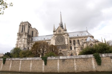 Notre dame de Paris