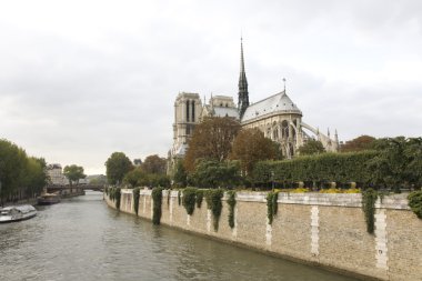 Notre dame de Paris