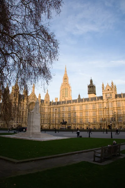 Palace of Westminster — Stockfoto