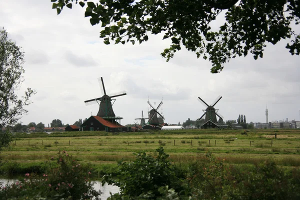 Mulini a vento di Zaanse Schans — Foto Stock