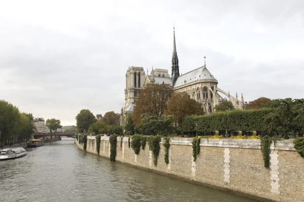 stock image Notre Dame de Paris